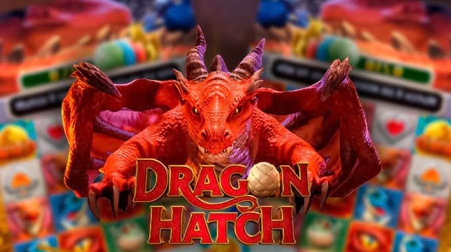 play online casino