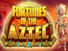 online cricket betting website